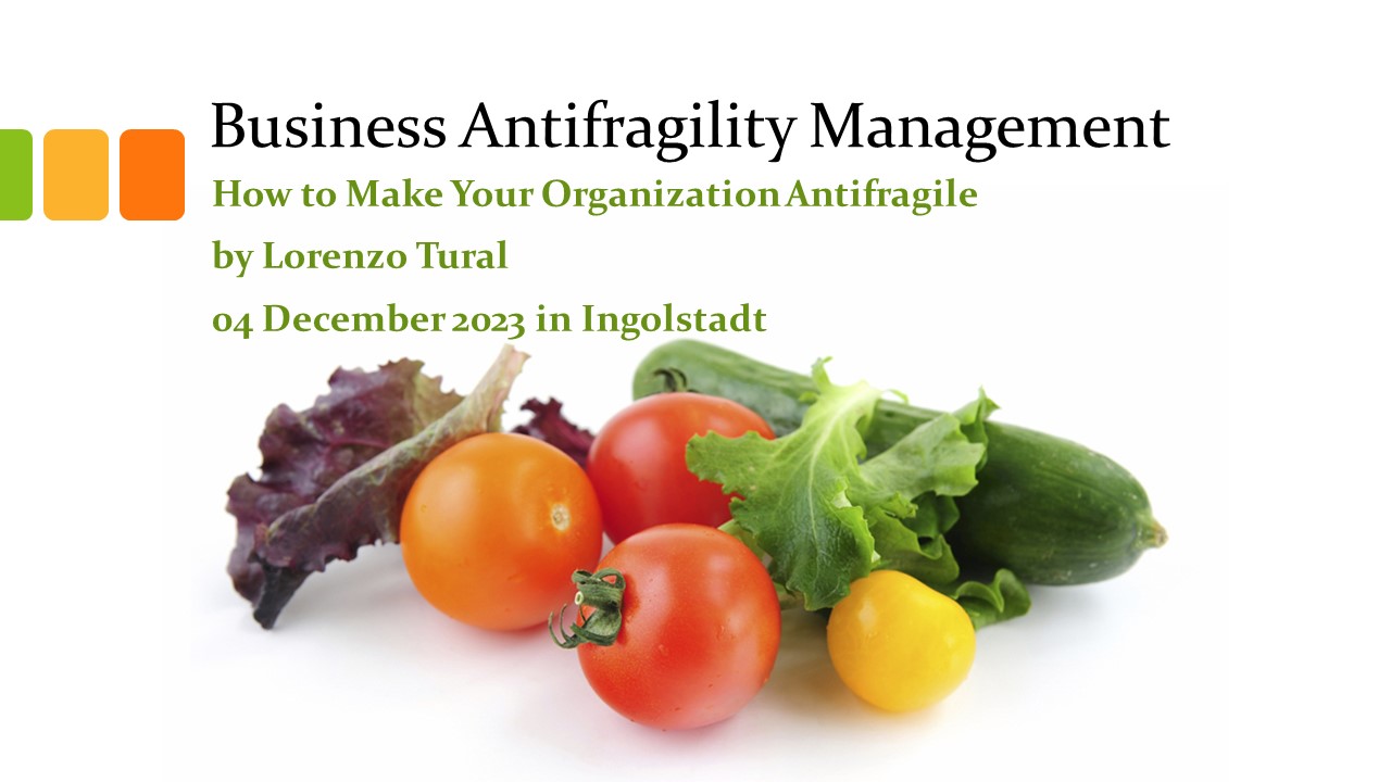 business antifragility management 4december ingolstadt
