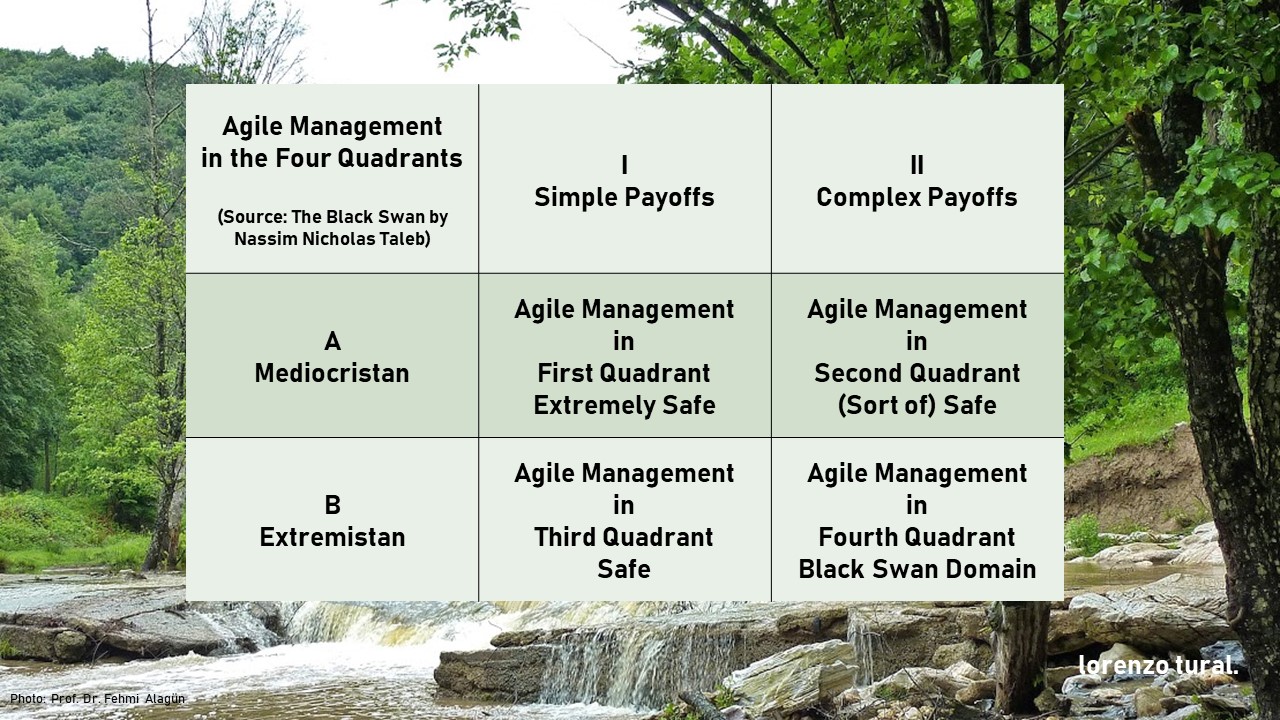 agile management in the four quadrants