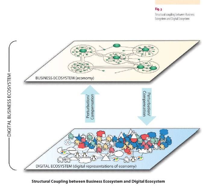 strukturelle kopplung digital business ecosystem