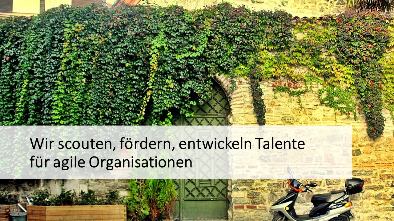 Talent Development for Agile Oorganizations